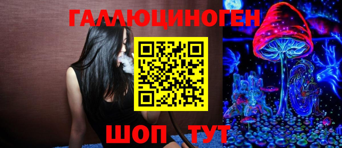 Псилоцибиновые грибы Psilocybe  Вход с VPN  Ковров 