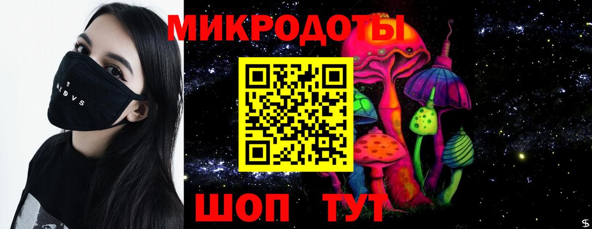 Псилоцибиновые грибы Psilocybe Ковров